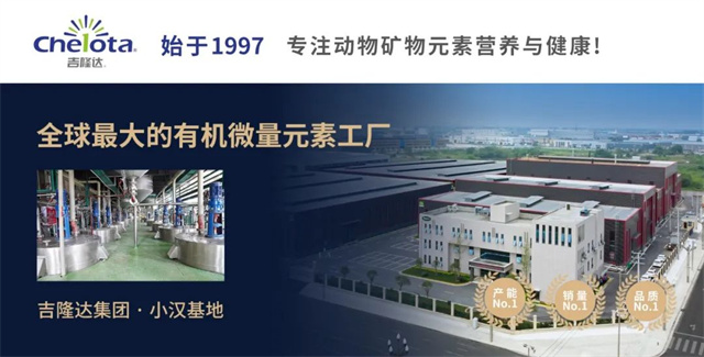 �л�΢������bbin��ӯ