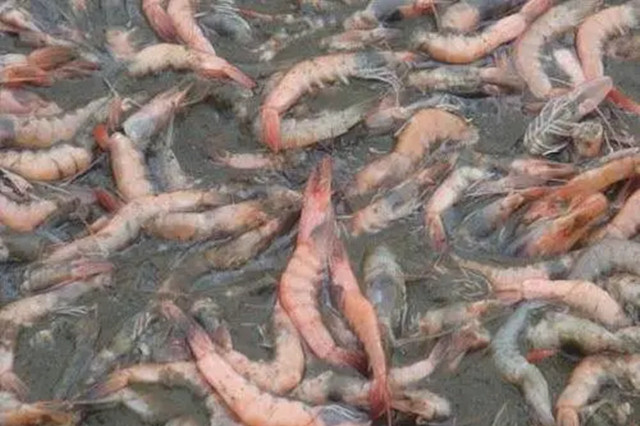 ��Ϻ͵����ô��