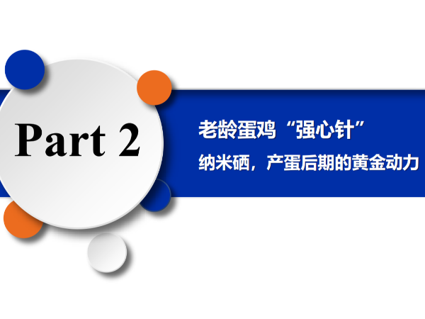 ���䵰����ǿ���롱����Ħ�������������ڵĻƽ���